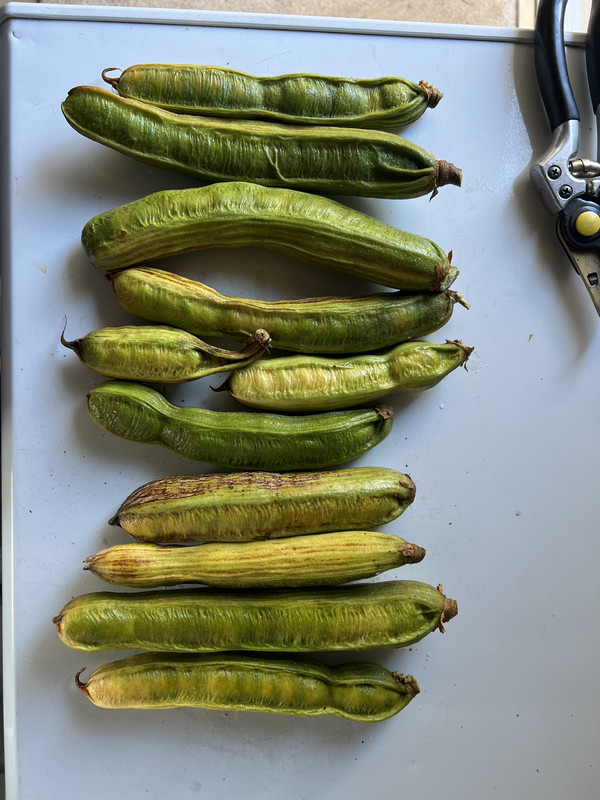 43974437 0837 409F 96C7 3750ED1E59F1