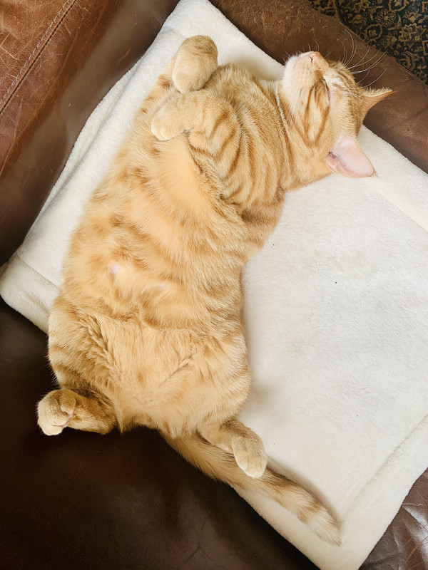 3A6C3476-3841-4FFF-BFC1-F3462AB80ABA