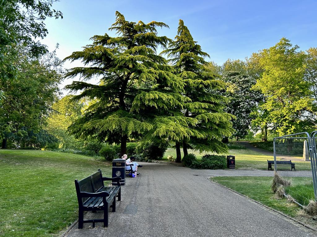 Пёстрая лента. Путешествие по сельским дорогам Англии в мае 2025 г.