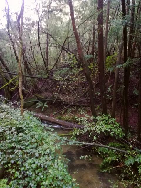 IMG-20191020-123221.jpg