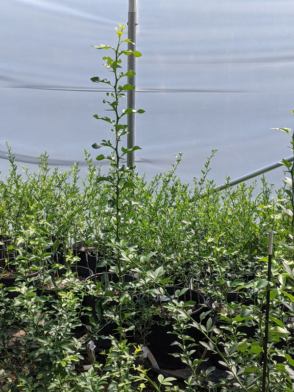 00000IMG_00000_BURST20200729154323123_COVER