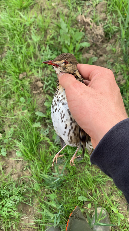 65C26BC0-BE6D-469D-B8B6-ECE2F54235A9