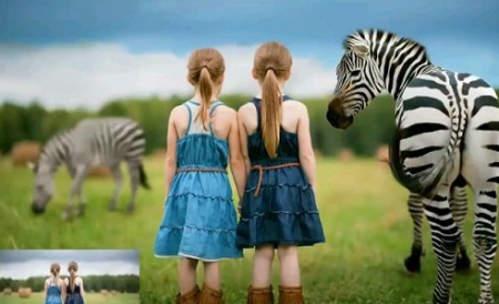 Summerana – Dancing Stripes Zebra: Editing Video