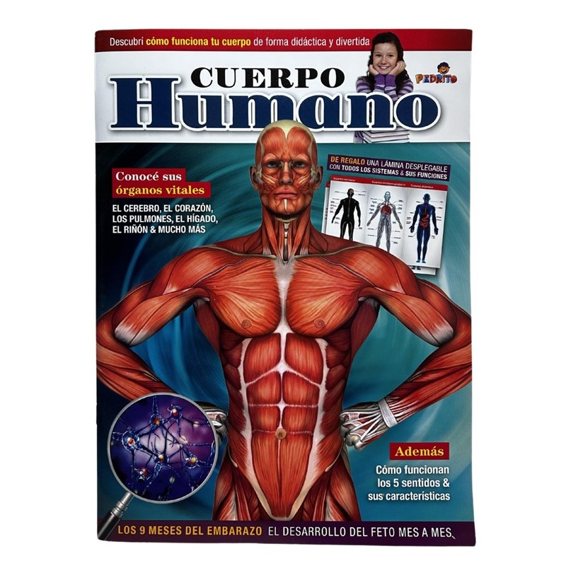 CUERPO HUMANO, DESCUBRI COMO FUNCIONA TU CUERPO DE FORMA DIDACTICA Y DIVERTIDA
