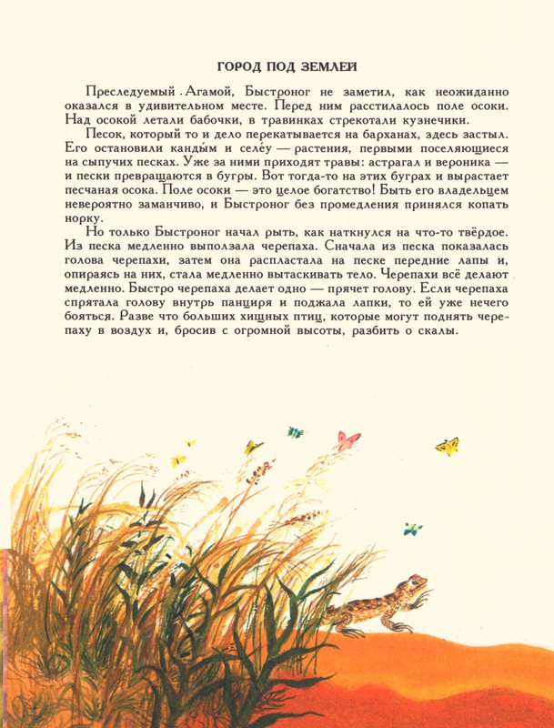 Romanova-Natala-Jashherica-bez-khvosta-page-0015