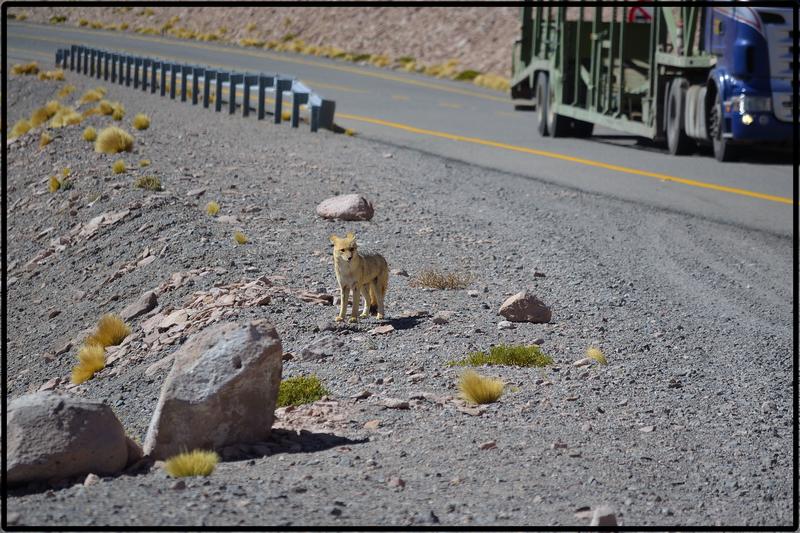 DE ATACAMA A LA PAZ. ROZANDO EL CIELO 2019 - Blogs de America Sur - ANEXO I. CARRETERAS (11)