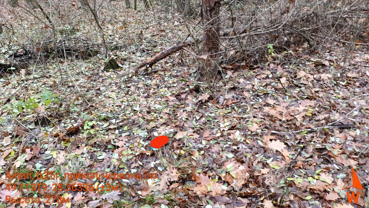 photo 72 2025 11 12 22 26 02