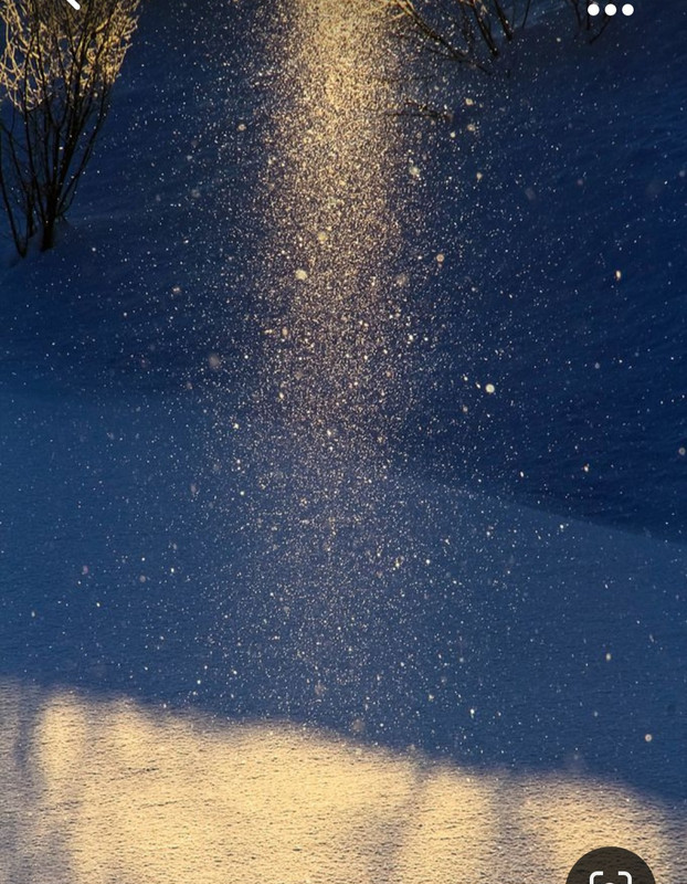 Screenshot_20231006_220604_Pinterest