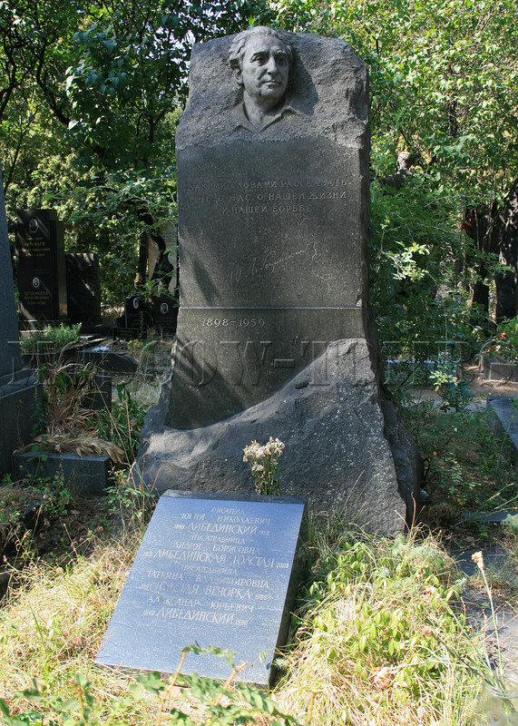 libedinskaya-lb-old