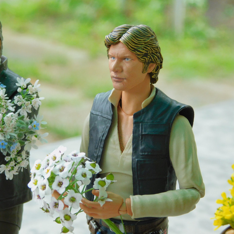 Дачное Маттел к Хелл 2025, Харли и Ко продолжение 296