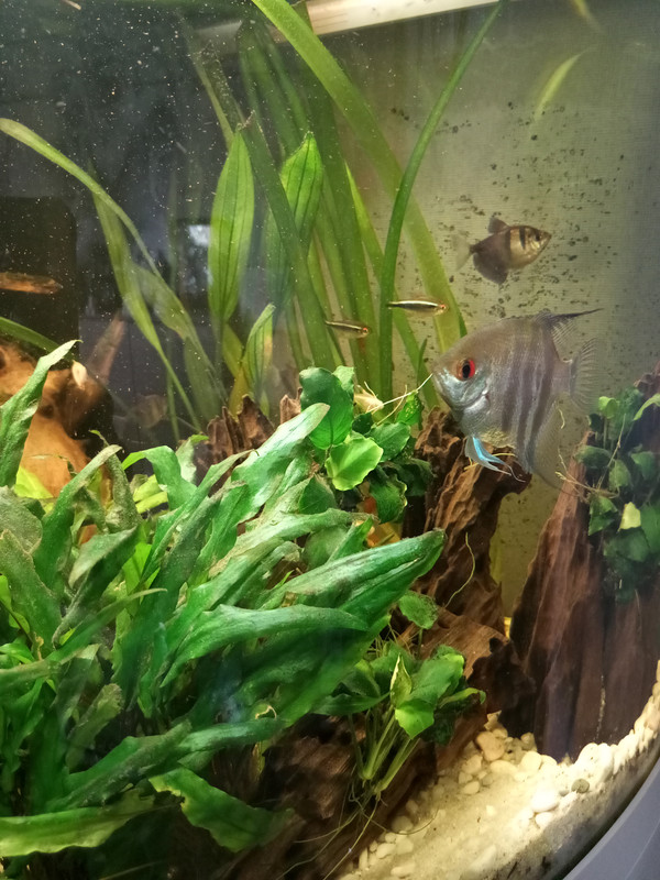 16882906712885772688904016902046