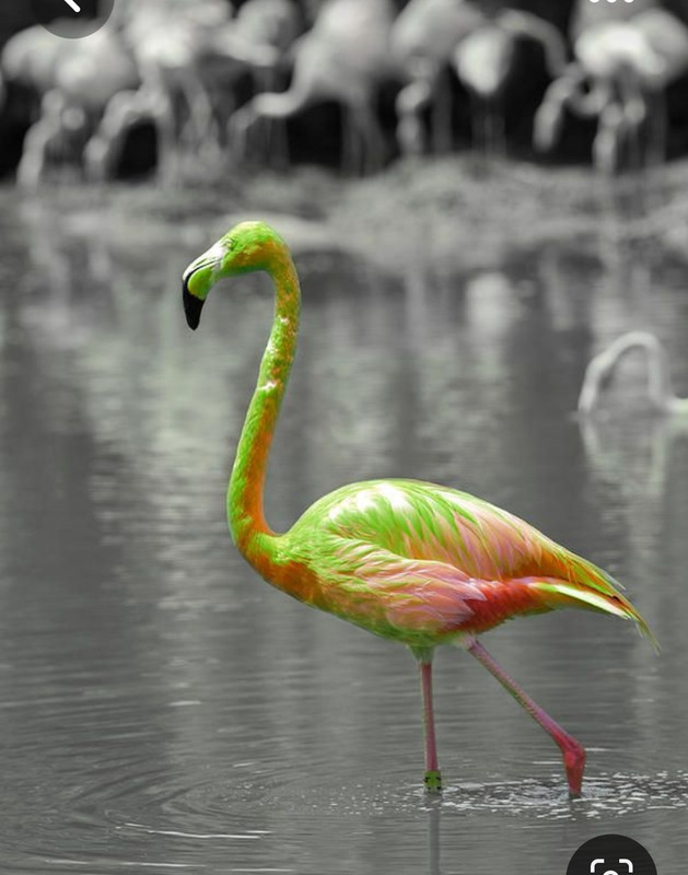 Screenshot_20230420_010137_Pinterest