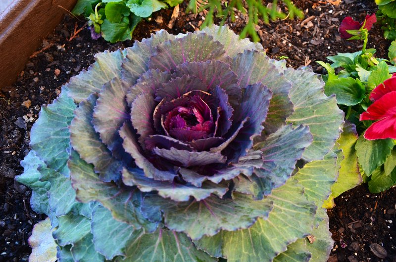 Ordino-31-10-2015 - Andorra y sus pueblos-2015 (18)