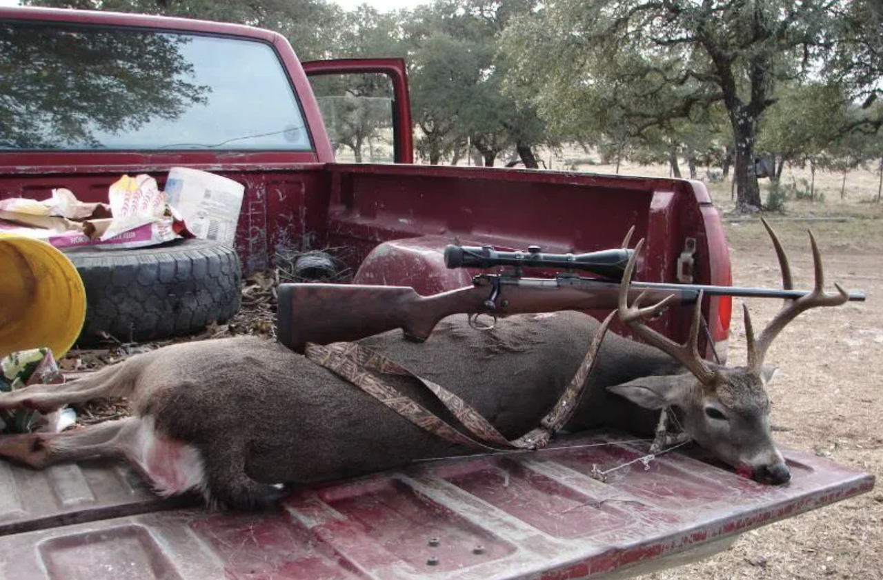 Screen Shot 2026 02 24 at 4 08 22 PM