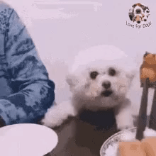 ANIMAL GIFS & PIC 1 -  3 pages I-want-it-bad-LOL