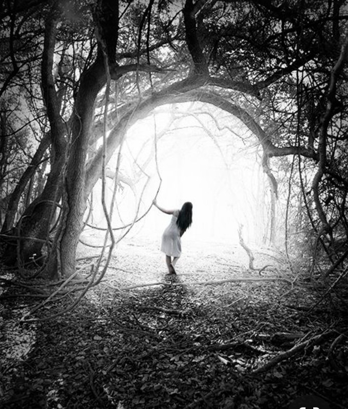 Screenshot_20231213_205027_Pinterest