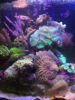 94BDFAB2-993B-41AB-8FD7-3173DDD1A77D