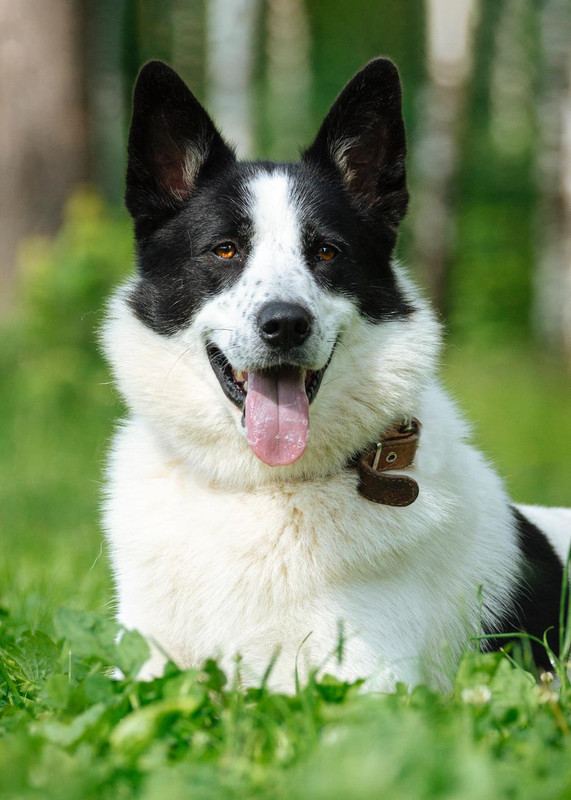 Изображение WhatsApp 2025-07-06 в 10.03.41_9cbd0e32