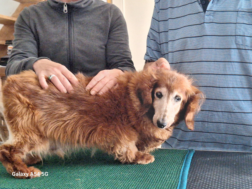 [Image: 20240703-170132.jpg]