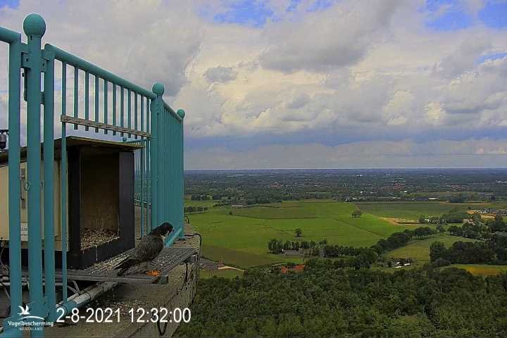 campics vanaf 1 juli © VWGGemert en bonusjes van ter plekke - Pagina 13 3