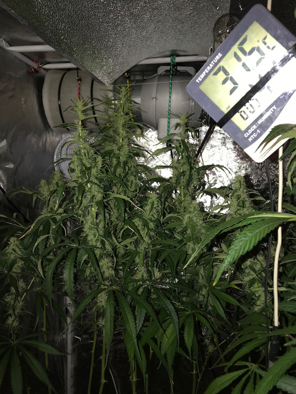 511F0D06-1C94-4B29-853F-BCD205589A97