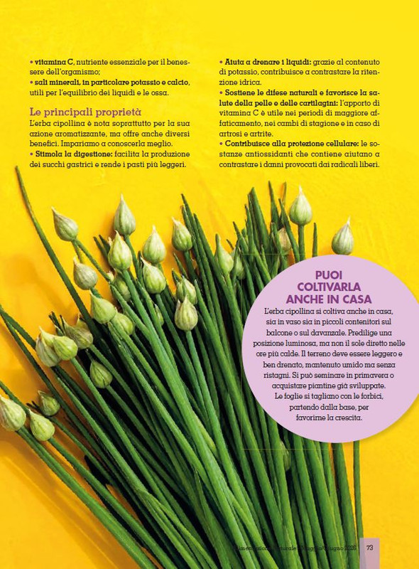 Alim Nat Mag Giu 2026 (8)