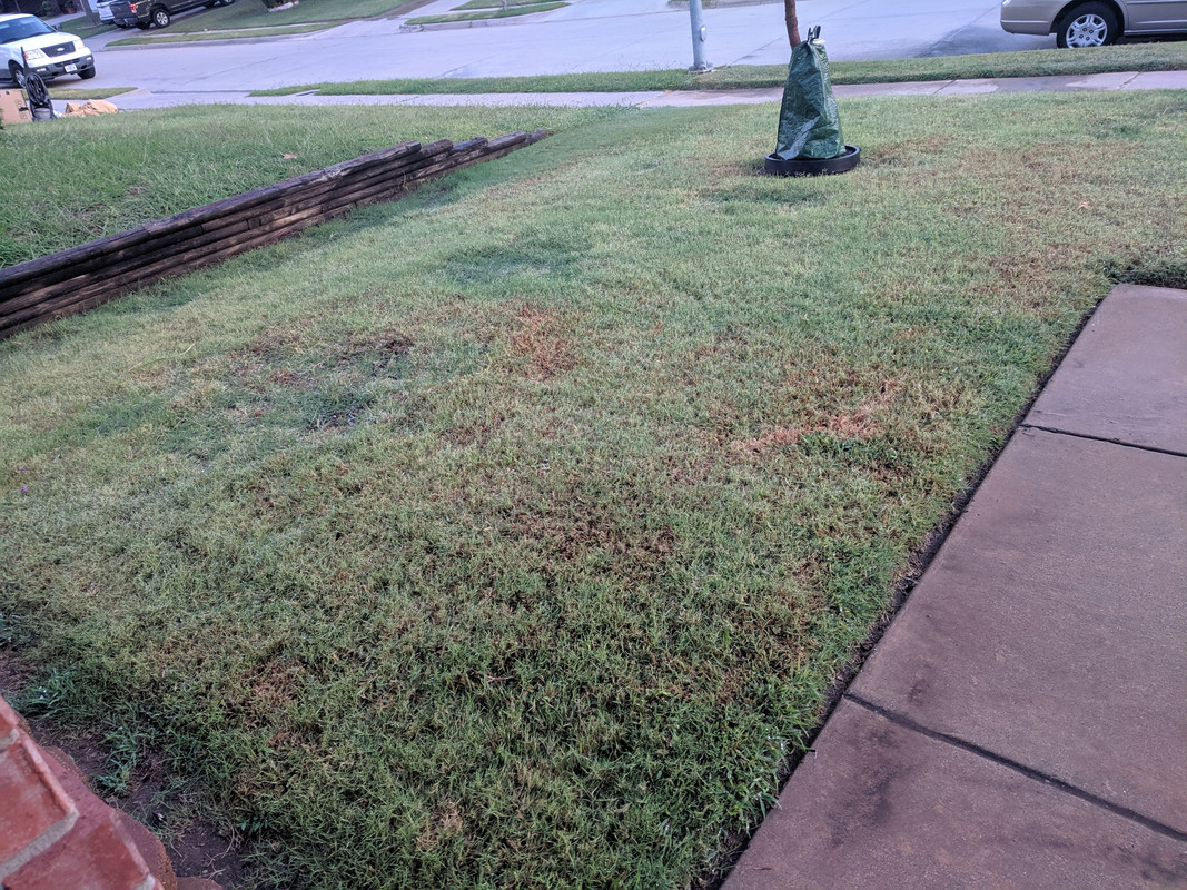 IMG_20190720_063511_2