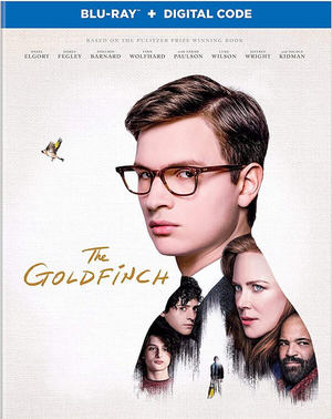 Il cardellino (2019) BDRA BluRay Full AVC DD ITA DTS-HD ENG Sub - DB