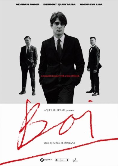 Boi (2019) PL.WEB-DL.XviD-GR4PE | Lektor PL