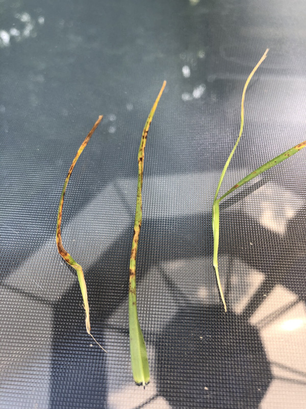 0F7A26D4-0BDA-4AA0-889E-E61821375900