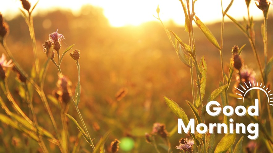 vartotojo �kelta nuotrauka