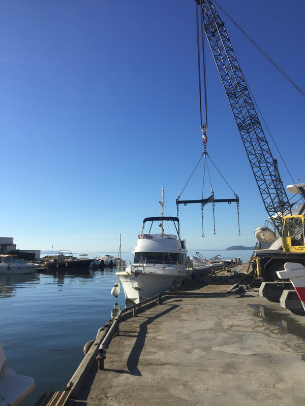 564C3C05-C731-4DA2-8E6A-04963FBF37D1