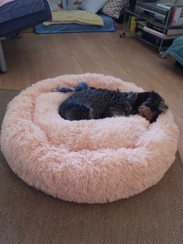 [Image: 20210109-153117-copy-1024x1365-1.jpg]