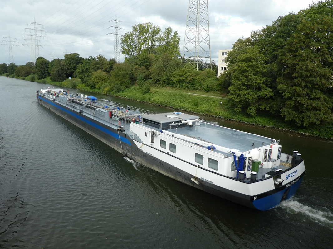 2020.08.28d Specht (1280x960)