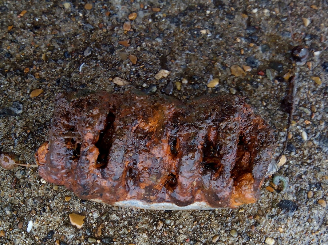 Добянка 05.11.14 04