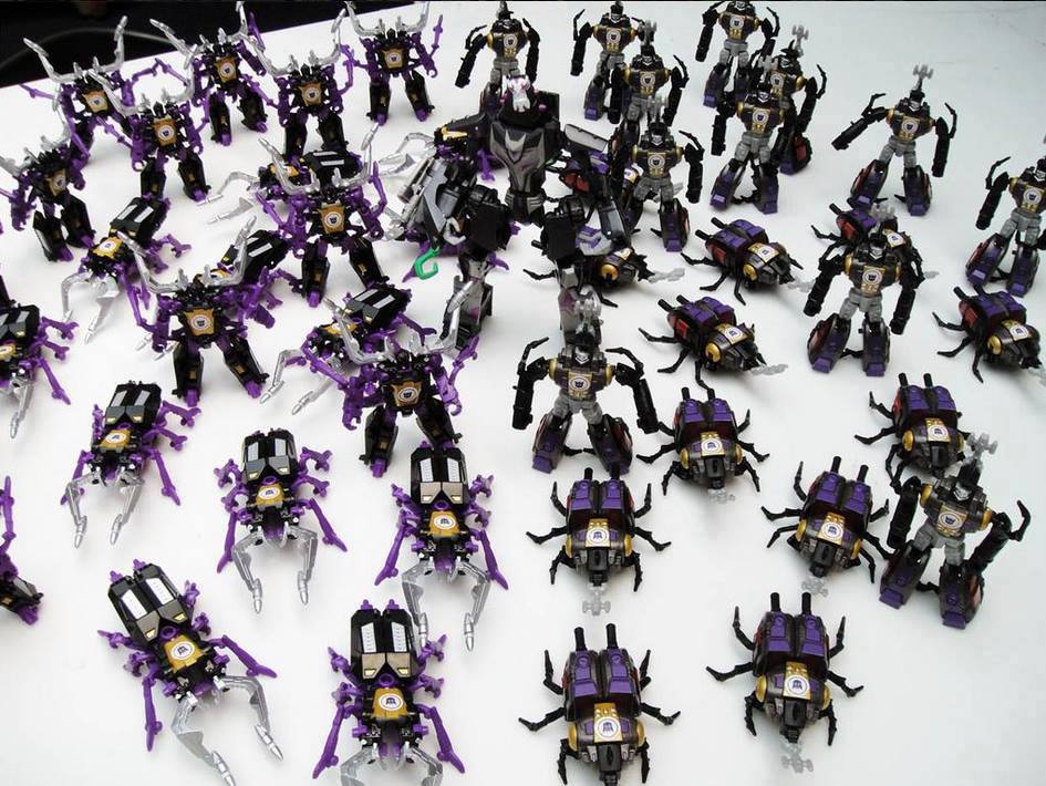 11269503_834115036674907_5461062689722416786_n