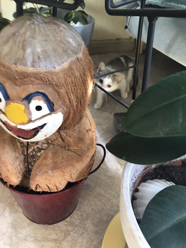 6A5A8DAF-1ABE-4FBB-A0D8-389792023E4F