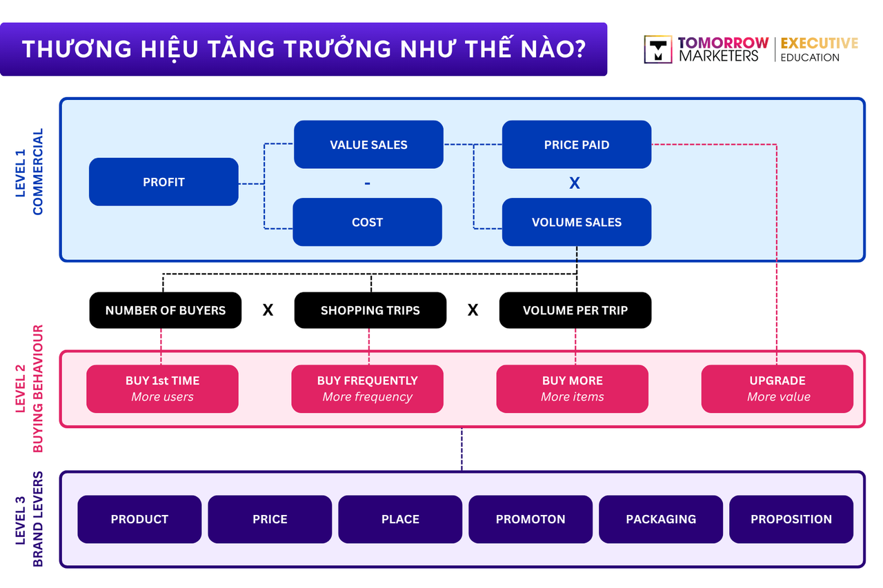 SERIES_BLOG_ĐA_C_THU_BRANDING