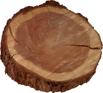 ISmellAutumn-LL-Element14