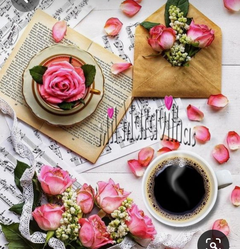 Screenshot_20230328_003746_Pinterest