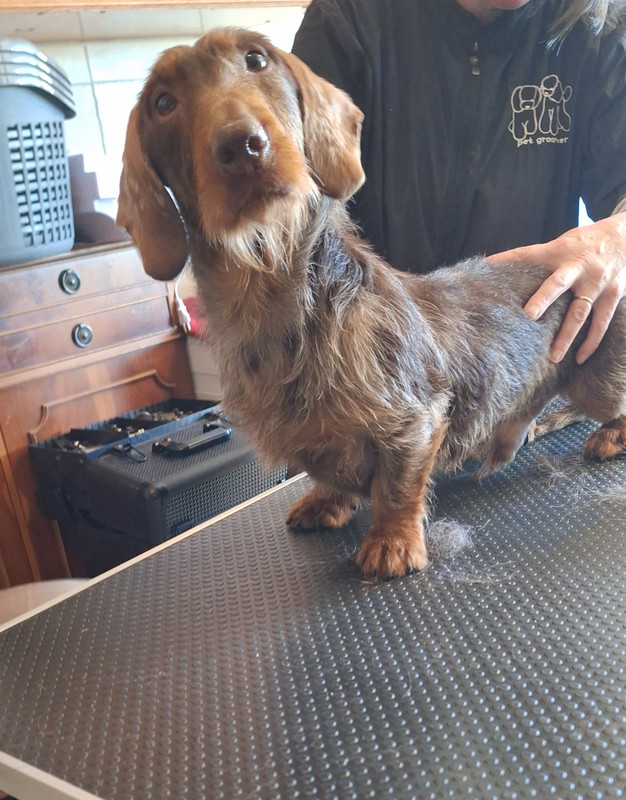 [Image: 20250305-094057.jpg]