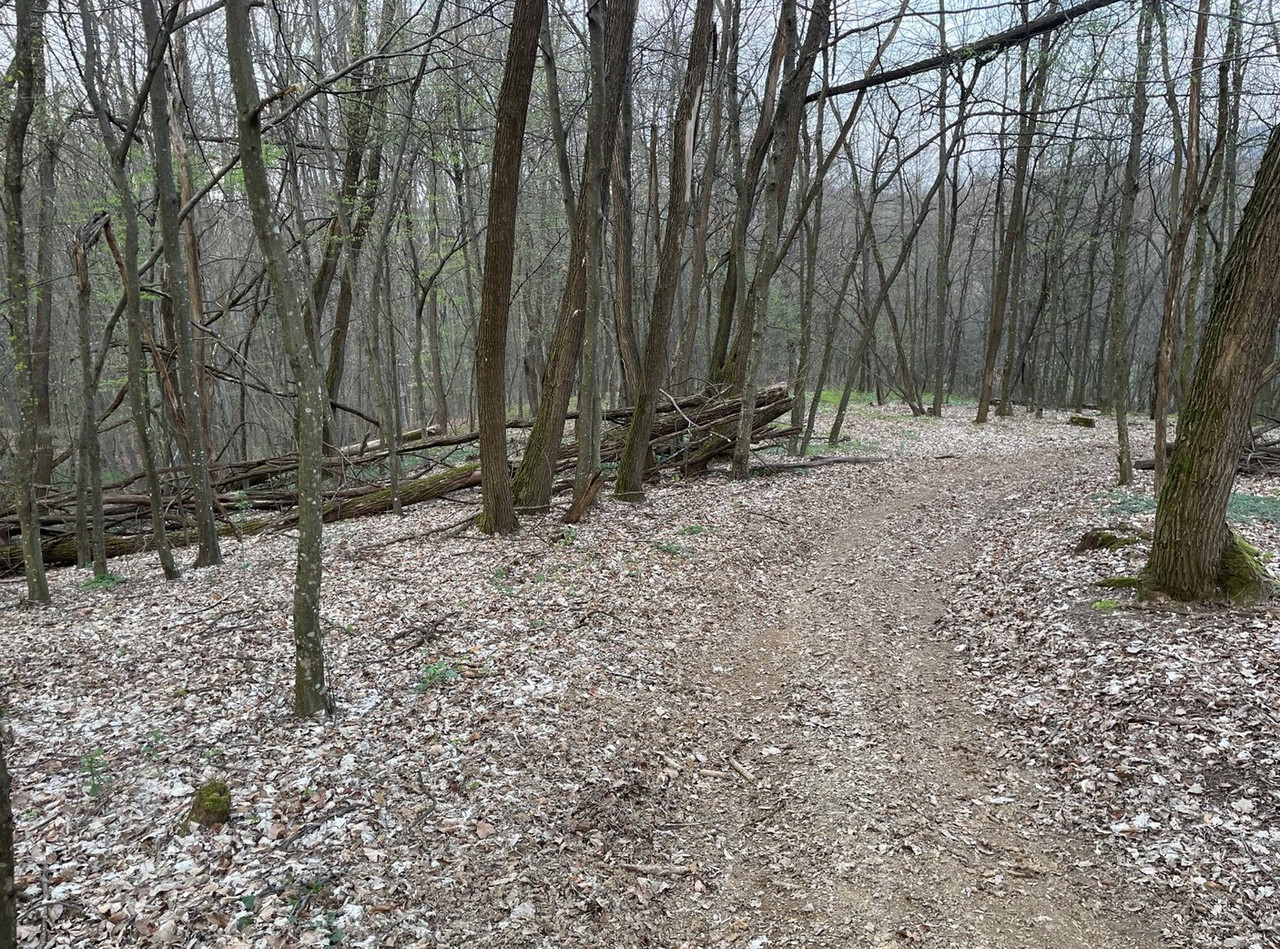 Screen Shot 2026 03 22 at 21 03 47