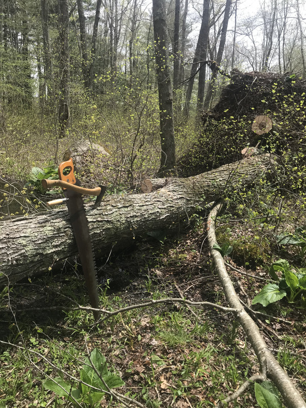 7EA89F3C-071C-4E35-9892-4A153747AC8D