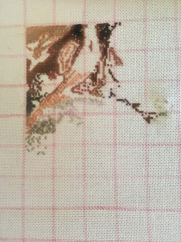 0B588D11-7132-443E-B505-529387A3C0FF