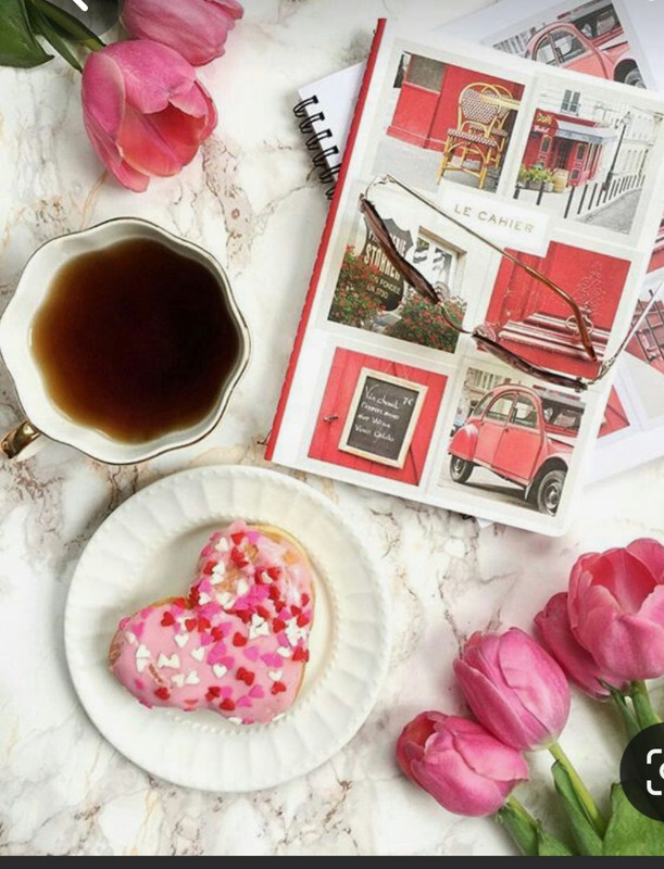 Screenshot_20230227_235152_Pinterest