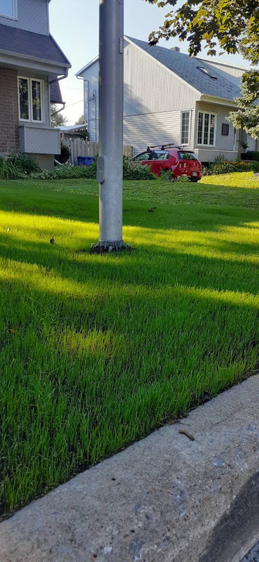 IMG-c6bd467629f9645f06ecb4c5456d2ca8-V