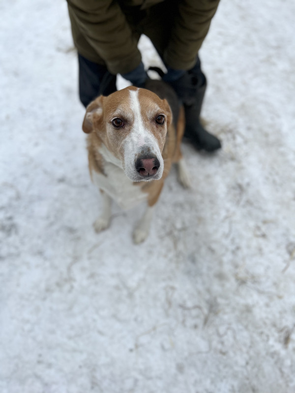 AA35CE61-B7A8-4928-8F88-1B8B93889F92