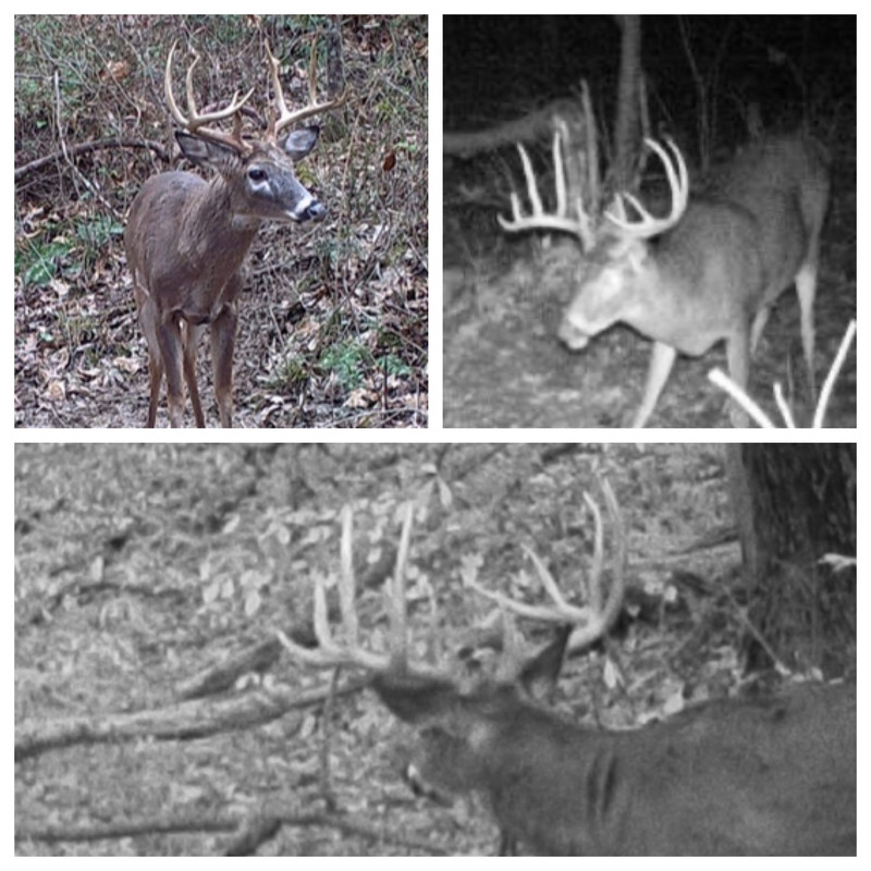 AC5C3706-5165-44B8-8FE3-F1D2773FDA61