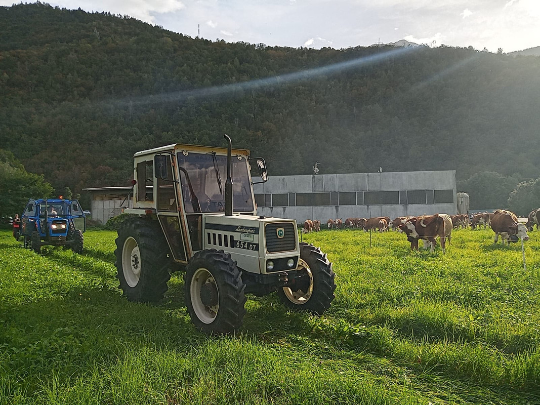 Scargaamuut 2023 (28)