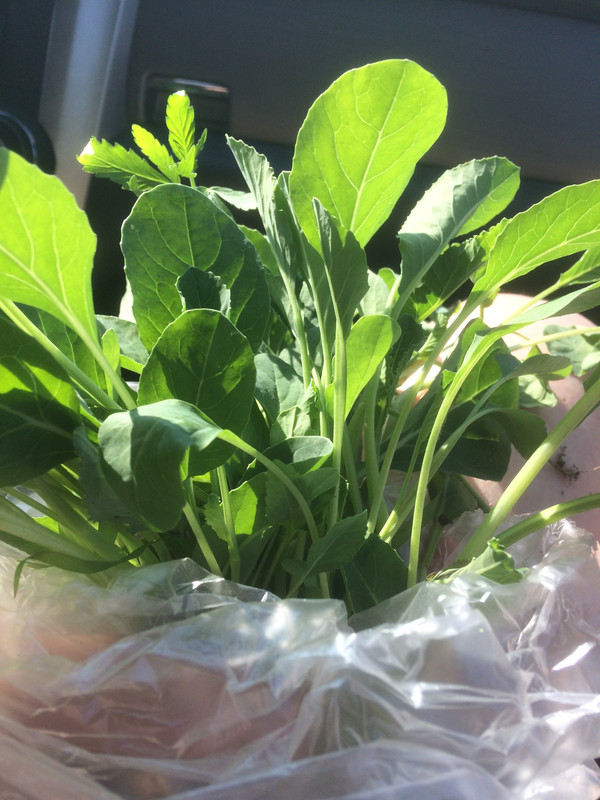 C6592AB4-6856-4EF4-AC41-2E8C1C53EE6B